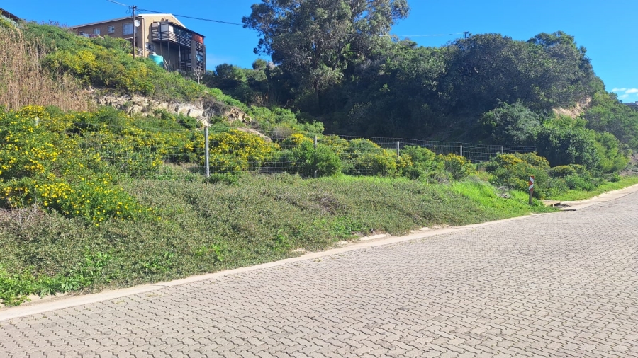 0 Bedroom Property for Sale in Stilbaai Wes Western Cape